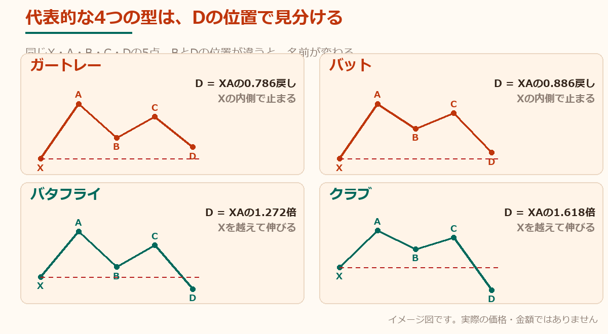 代表的な4つの型(ガートレー・バット・バタフライ・クラブ)を並べて、Dの位置の違いを示した図